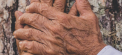 Mains âgées serrant un tronc d'arbre, symbolisant connexion avec la nature.