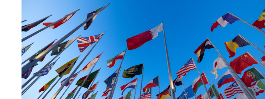 Le viager dans le monde - Illustration neutre Drapeaux de plusieurs nations flottant sous un ciel bleu clair.